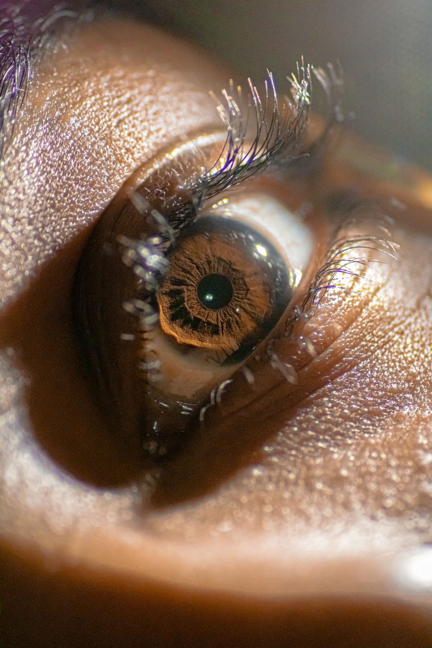 Contactlenzen en innovatie: Wat je moet weten